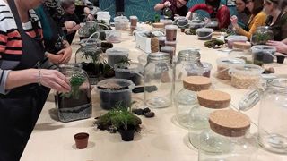 L’atelier terrarium a du succès. Il fait partie des animations prisées pour transmettre la passion du végétal. ©LGPépinière L’atelier terrarium a du succès. Il fait partie des animations prisées pour transmettre la passion du végétal. ©LGPépinière